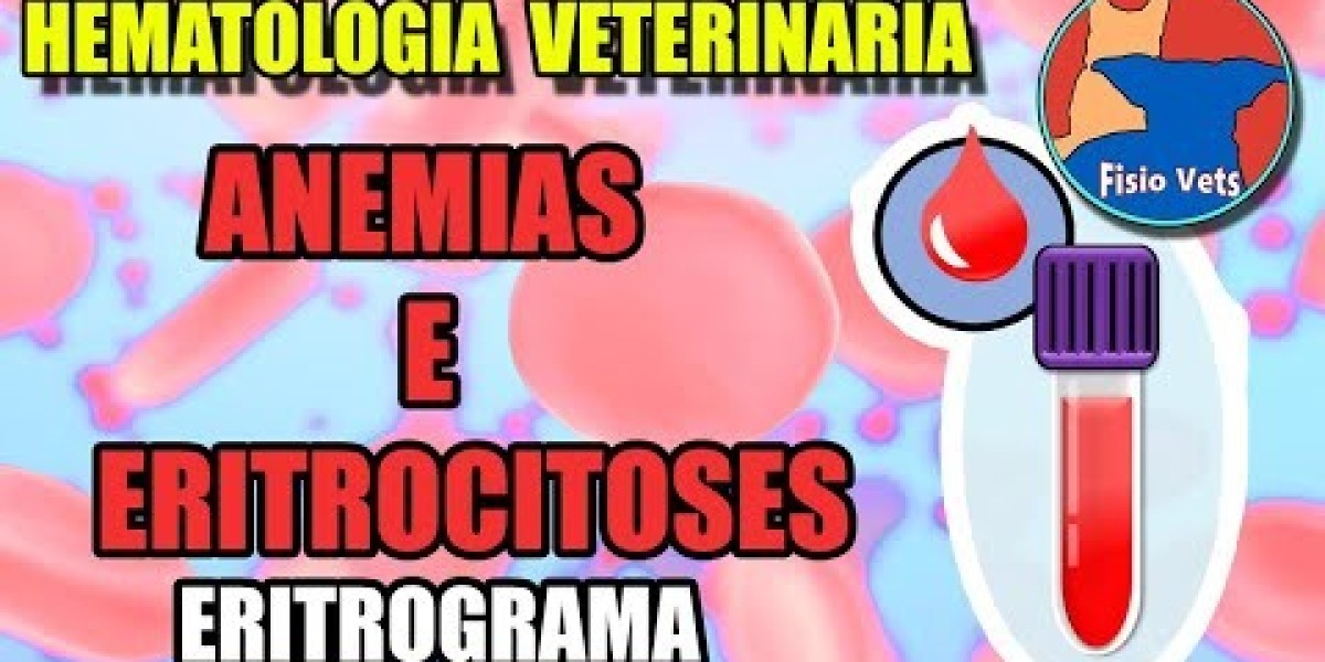 Importância do Exame de TSH: O Que Seu Veterinário Pode Revelar sobre a Saúde do Seu Pet